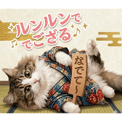neko- robot_20260424152633