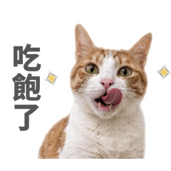 蘭米今天也很廢