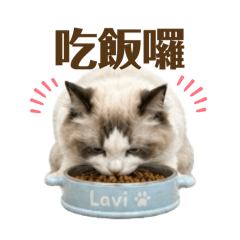 Ai版咪貼圖