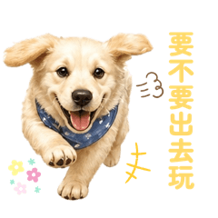 小寶寶奶油駕到