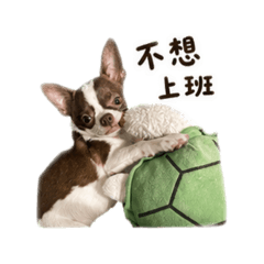 皮蛋の上班厭世日常