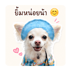 Omu_20260427213442