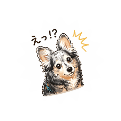 taro_20260429091741