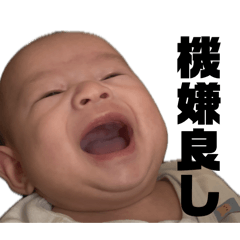 SAKICCHO_20260429005354