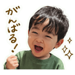 piku_20260429093657