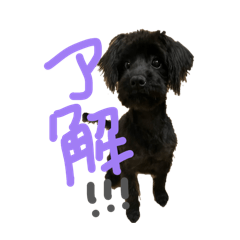 miyu_20260429092701