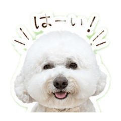 popcoon.cy_20260429112151