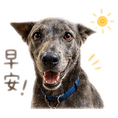情緒系狗狗