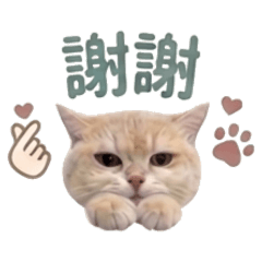 初八日常