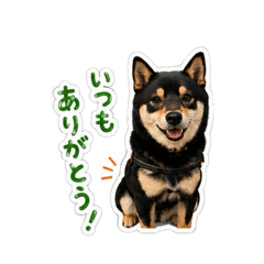 PROFESSOR HIRO._20260429094607