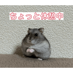 yyyyuki_20260429094710