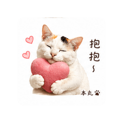 三花本丸的日常