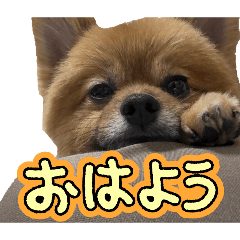 sawada daichi_20260429014602