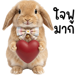 Mustang the Mischievous & Funny Rabbit