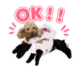 aachan_20260429125128
