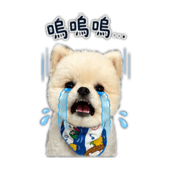 陳小晨 哭哭合輯