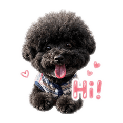 妞妞日常表情包