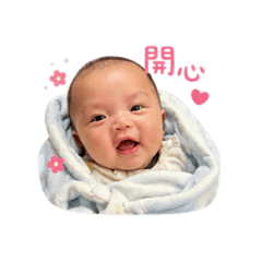蘅蘅貼貼