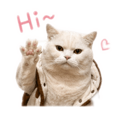 湯圓 一般用語系列