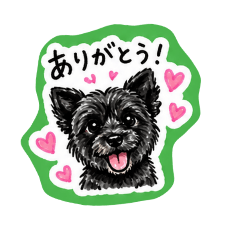 omusubi_20260429000211