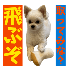 cochanomaman_20260429002928