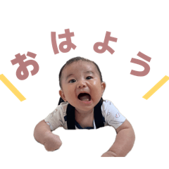 ototo_20260429122519