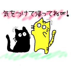 kiyo_20260429123509