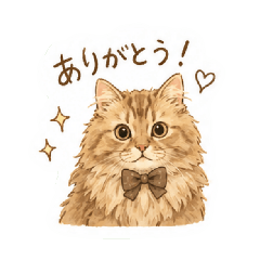 Shocolate.K_20260429123454