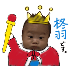 UMA_20260429122816