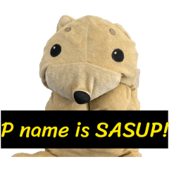 Sasup_20260424185900