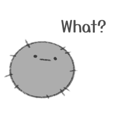 Middy_20260424153210