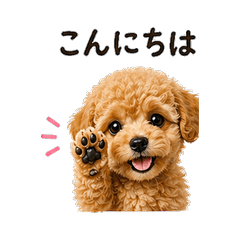 Tiny Paws Daily Chat Stickers