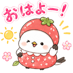 Fruit Shimaenaga_Friendly Greetings