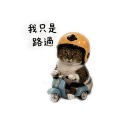 小白的不要不要