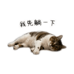 小白的日常生活！