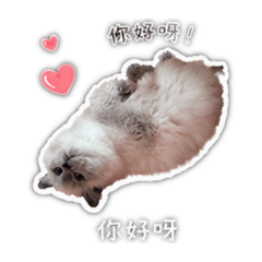 咪吉貼圖（1）
