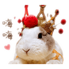 鼜公主當王的一天