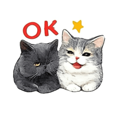 小喵咪日常用語