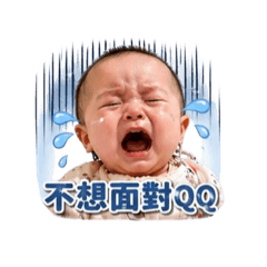 茉茉崩潰篇