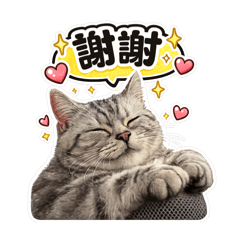獅子座の小皮