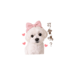 阿啾第一版❤️