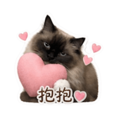 punita日常生活
