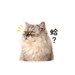 阿ra