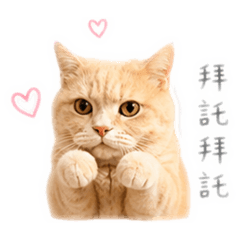 幾摳一家