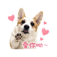 屁屁小姐的貼圖