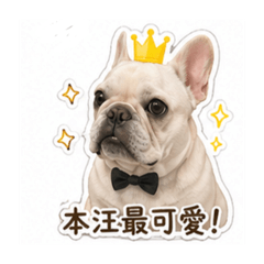 阿宅除了吃還會睡