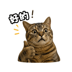 茶茶不想上班