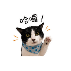 果凍來囉