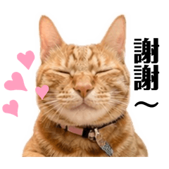 小迪の日常貼圖