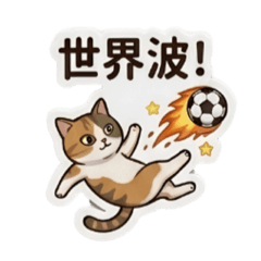 足球小將卷卷-熱血賽場篇